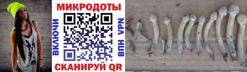 закладка  Абакан  Галлюциногенные грибы мицелий 