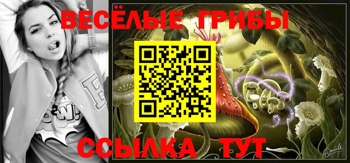 Абакан  купить наркоту  Вход с VPN  Галлюциногенные грибы MAGIC MUSHROOMS 