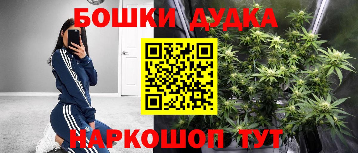 Бошки марихуана сатива  Бошки марихуана сатива  Абакан  Вход с VPN 
